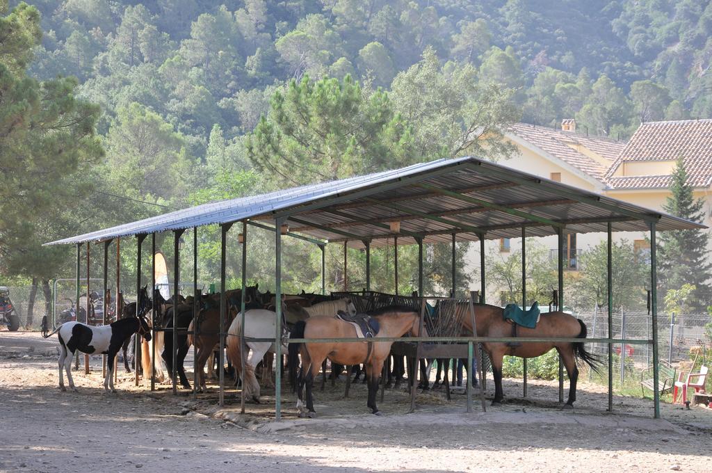 Alojamientos Rural Tejerina 아로요프리오 외부 사진