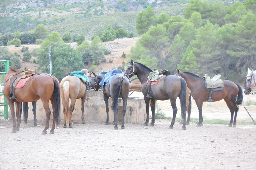 Alojamientos Rural Tejerina 아로요프리오 외부 사진